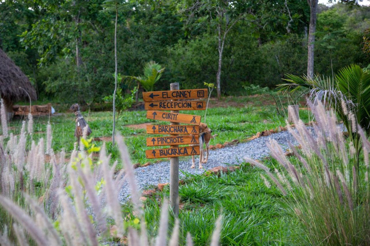 Nativo Glamping Hotel Баричара Екстериор снимка
