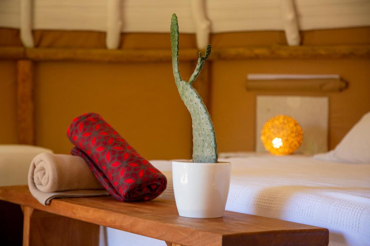 Nativo Glamping Hotel Баричара Екстериор снимка