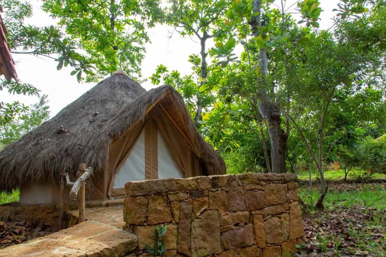 Nativo Glamping Hotel Баричара Екстериор снимка